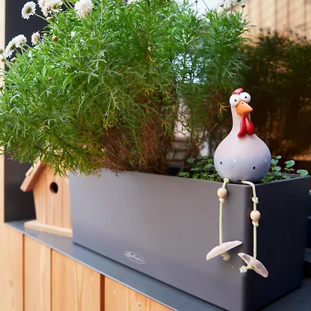 Superbe Grange Reamenagee Fampoux