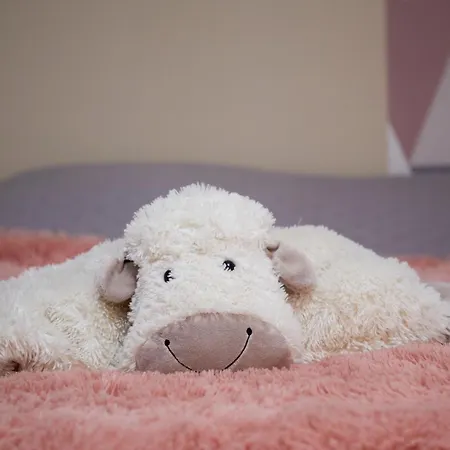 Superbe Grange Reamenagee * Fampoux